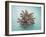 Coral on Teal-Jairo Rodriguez-Framed Photographic Print