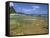 Coral on Tunnels Beach, Kauai, Hawaii, USA-Dennis Flaherty-Framed Stretched Canvas