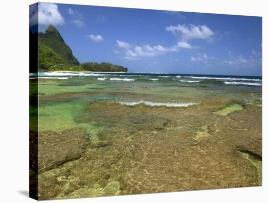 Coral on Tunnels Beach, Kauai, Hawaii, USA-Dennis Flaherty-Stretched Canvas