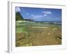 Coral on Tunnels Beach, Kauai, Hawaii, USA-Dennis Flaherty-Framed Photographic Print