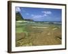 Coral on Tunnels Beach, Kauai, Hawaii, USA-Dennis Flaherty-Framed Photographic Print