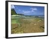 Coral on Tunnels Beach, Kauai, Hawaii, USA-Dennis Flaherty-Framed Photographic Print