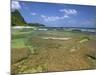 Coral on Tunnels Beach, Kauai, Hawaii, USA-Dennis Flaherty-Mounted Photographic Print