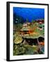 Coral Plates, La Sorciere, Soufriere Bay, Soufriere, Dominica-Michael Lawrence-Framed Premium Photographic Print