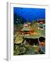 Coral Plates, La Sorciere, Soufriere Bay, Soufriere, Dominica-Michael Lawrence-Framed Photographic Print