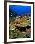 Coral Plates, La Sorciere, Soufriere Bay, Soufriere, Dominica-Michael Lawrence-Framed Photographic Print