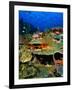 Coral Plates, La Sorciere, Soufriere Bay, Soufriere, Dominica-Michael Lawrence-Framed Photographic Print