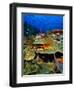 Coral Plates, La Sorciere, Soufriere Bay, Soufriere, Dominica-Michael Lawrence-Framed Photographic Print