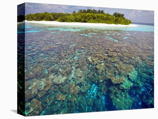 Coral Plates, Lagoon and Tropical Island, Maldives, Indian Ocean, Asia-Sakis Papadopoulos-Stretched Canvas