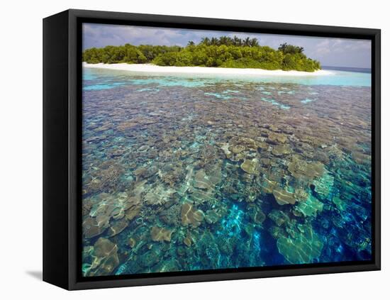 Coral Plates, Lagoon and Tropical Island, Maldives, Indian Ocean, Asia-Sakis Papadopoulos-Framed Stretched Canvas