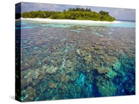 Coral Plates, Lagoon and Tropical Island, Maldives, Indian Ocean, Asia-Sakis Papadopoulos-Stretched Canvas