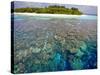 Coral Plates, Lagoon and Tropical Island, Maldives, Indian Ocean, Asia-Sakis Papadopoulos-Stretched Canvas