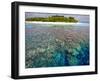 Coral Plates, Lagoon and Tropical Island, Maldives, Indian Ocean, Asia-Sakis Papadopoulos-Framed Photographic Print