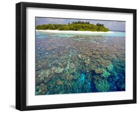 Coral Plates, Lagoon and Tropical Island, Maldives, Indian Ocean, Asia-Sakis Papadopoulos-Framed Photographic Print