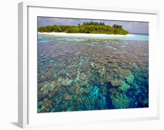 Coral Plates, Lagoon and Tropical Island, Maldives, Indian Ocean, Asia-Sakis Papadopoulos-Framed Photographic Print