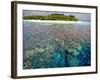 Coral Plates, Lagoon and Tropical Island, Maldives, Indian Ocean, Asia-Sakis Papadopoulos-Framed Photographic Print