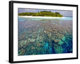 Coral Plates, Lagoon and Tropical Island, Maldives, Indian Ocean, Asia-Sakis Papadopoulos-Framed Photographic Print