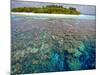 Coral Plates, Lagoon and Tropical Island, Maldives, Indian Ocean, Asia-Sakis Papadopoulos-Mounted Photographic Print