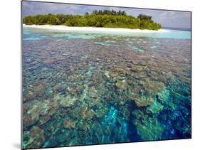 Coral Plates, Lagoon and Tropical Island, Maldives, Indian Ocean, Asia-Sakis Papadopoulos-Mounted Photographic Print