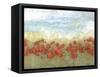 Coral Poppies I-Jennifer Goldberger-Framed Stretched Canvas