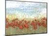 Coral Poppies I-Jennifer Goldberger-Mounted Art Print
