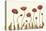 Coral Poppy Display II-Sandra Iafrate-Stretched Canvas