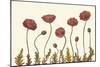 Coral Poppy Display II-Sandra Iafrate-Mounted Art Print