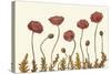 Coral Poppy Display II-Sandra Iafrate-Stretched Canvas