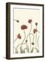 Coral Poppy Display III-Sandra Iafrate-Framed Art Print