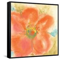 Coral Poppy II-Chris Paschke-Framed Stretched Canvas