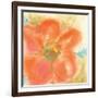 Coral Poppy II-Chris Paschke-Framed Art Print