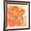 Coral Poppy II-Chris Paschke-Framed Art Print