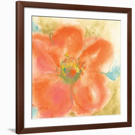 Coral Poppy II-Chris Paschke-Framed Art Print