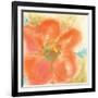 Coral Poppy II-Chris Paschke-Framed Art Print