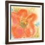 Coral Poppy II-Chris Paschke-Framed Art Print