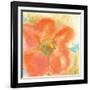 Coral Poppy II-Chris Paschke-Framed Art Print