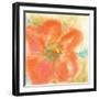 Coral Poppy II-Chris Paschke-Framed Art Print