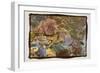 Coral Reef 1-Theo Westenberger-Framed Photographic Print