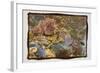 Coral Reef 1-Theo Westenberger-Framed Photographic Print