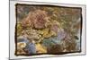 Coral Reef 1-Theo Westenberger-Mounted Photographic Print