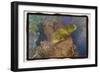 Coral Reef 2-Theo Westenberger-Framed Photographic Print