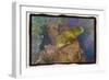 Coral Reef 2-Theo Westenberger-Framed Photographic Print