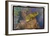 Coral Reef 2-Theo Westenberger-Framed Photographic Print