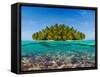 Coral Reef and the Island-SerrNovik-Framed Stretched Canvas