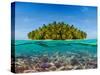 Coral Reef and the Island-SerrNovik-Stretched Canvas