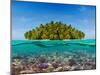 Coral Reef and the Island-SerrNovik-Mounted Photographic Print