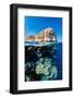 coral reef below the cliffs of shark observatory, egypt-alex mustard-Framed Photographic Print