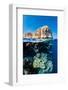 coral reef below the cliffs of shark observatory, egypt-alex mustard-Framed Photographic Print