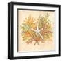 Coral Reef I-Kate McRostie-Framed Art Print