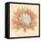 Coral Reef II-Kate McRostie-Framed Stretched Canvas
